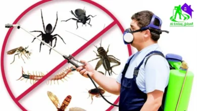 شركة مكافحة البعوض في الشارقة